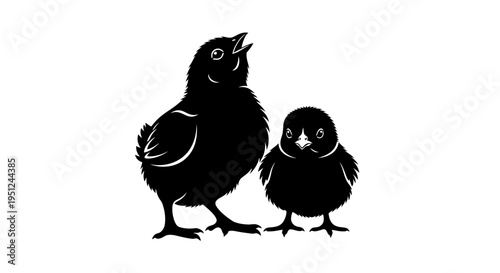 Easter Vector illustration of two black birds isolated on White Background vector