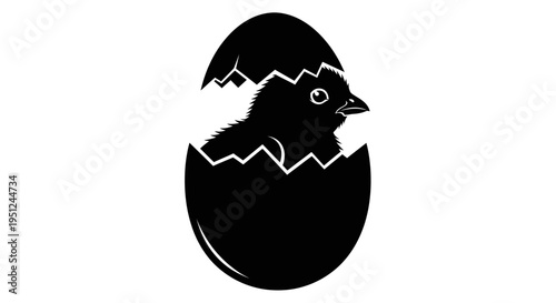 Easter Vector illustration of a hatching chick in black isolated on White Background vector