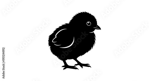 Easter Vector black chick illustration isolated on White Background vector
