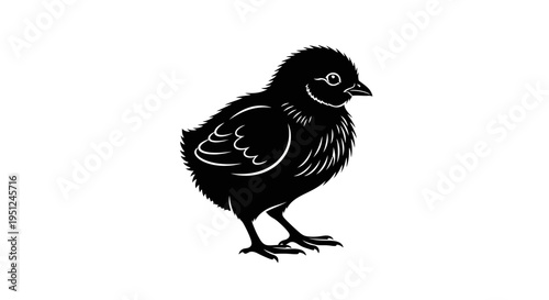 Vector black chick icon