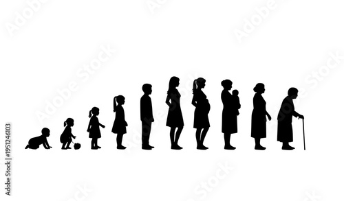 Woman life cycle stages silhouette vector illustration