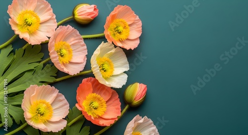 Delicate Poppy Blossoms Gently Arranged On A Dark Teal Surface