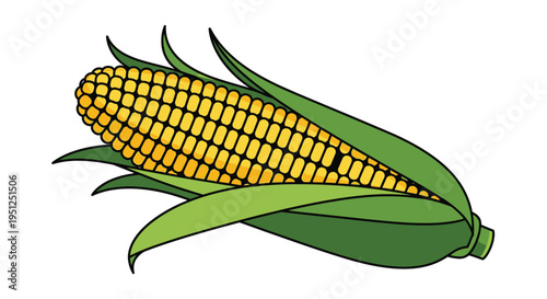 A vibrant illustration depicts a single ear of golden yellow corn complete with bright green husks isolated on white