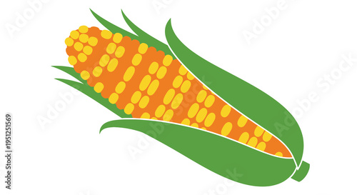 A vibrant illustration depicts a single ear of corn with bright yellow kernels and fresh green husks high quality