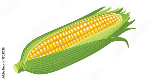 A vibrant illustration depicts a single ear of corn partially peeled showcasing its golden kernels and green husk