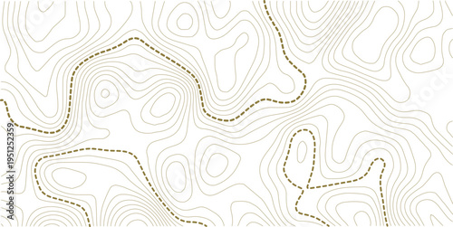 topographic line contour map background, geographic grid map, stock vector illustration. white background topo.