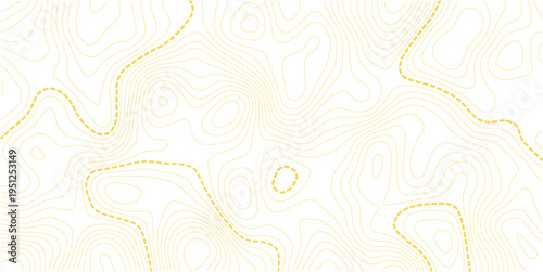 Topographic map background. Geographic line map with elevation assignments. Contour background geographic grid. Vector illustration.