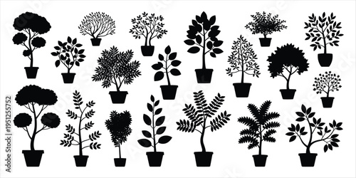 Collection of potted black tree and plant silhouettes with diverse foliage on white background Keywords: tree, plant, potted