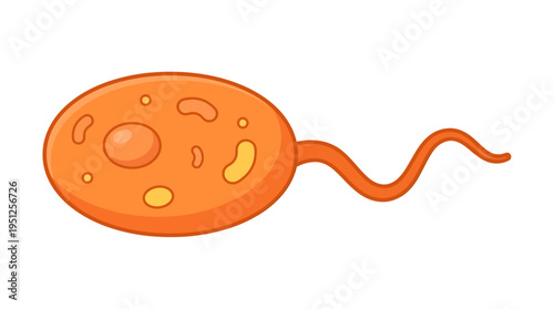 Orange single celled microorganism swimming through fluid