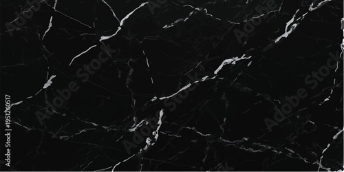 Abstract black marble texture with white veins, natural stone surface for luxury backgrounds and interior design, high resolution graphic resource, close up