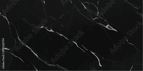 Closeup of black marble with intricate white streaks, a refined natural stone texture suitable for elegant websites, premium packaging, and sophisticated artistic backgrounds