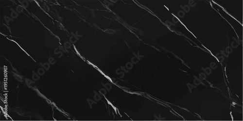Close-up of a sophisticated black marble slab with intricate white veining, ideal for premium backgrounds and elegant interior design, marble texture, white veins