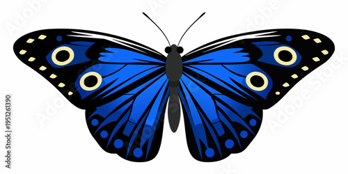 A vibrant blue butterfly with detailed wing patterns is displayed