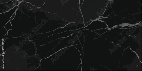 Close-up of black marble with a dramatic pattern of bright white veins, an exquisite natural texture for luxurious interior design and graphic backgrounds, natural stone