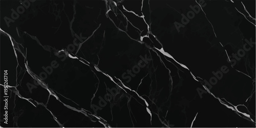 Striking black marble with pronounced white veining creating an artistic abstract pattern, an elegant natural stone texture for premium backgrounds, white veins