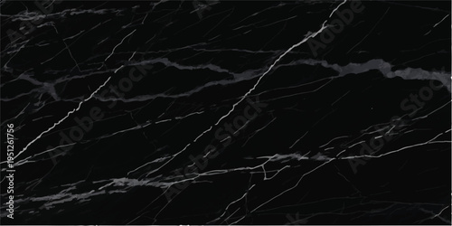 Deep black marble texture highlighted by thin, bright white veins, a sophisticated natural surface ideal for luxurious backgrounds and artistic compositions