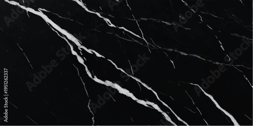 Striking black and white marble pattern, featuring bold lines on a dark background, creating a dramatic and luxurious texture for upscale design projects, high resolution