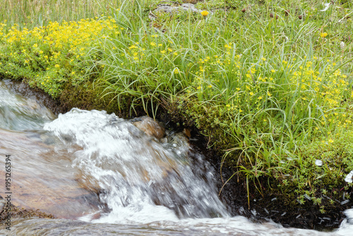 A small stream flowing through a meadow in the mountains, Alps, Europe.