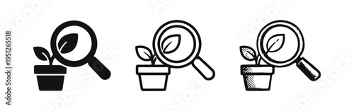 Plant Research and Botanical Study Icons Set. Magnifying Glass Over Potted Plant Vector for Green Science