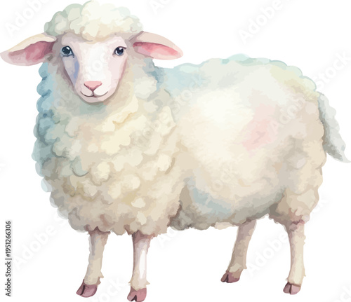 Hand-Painted Sheep Watercolor, Cute Farm Animal Art, Isolated Vector Illustration