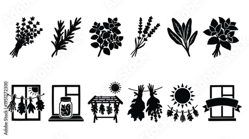 Herbs and drying process icons silhouette