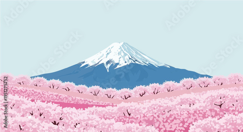 Serene vector cartoon illustration of mountfuji surrounded by vast pink cherry blossom fields