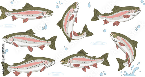 Rainbow Trout Fish Vector Set Featuring Dynamic Swimming Poses, Spotted Body Patterns, and Freshwater Species Illustration for Fishing, Aquatic Wildlife, and Educational Design Projects.