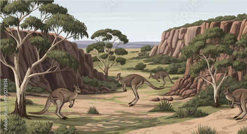 Wild vector cartoon illustration of kangaroos hopping in Australian outback bushland landscape