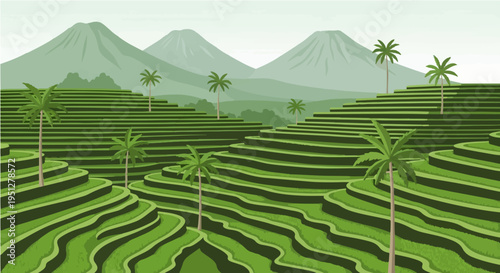 Peaceful vector cartoon illustration of Indonesian rice terraces with palm trees and mountain backdrop