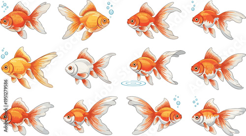Goldfish Vector Set Featuring Elegant Swimming Poses, Flowing Fins, and Bright Orange Aquarium Fish Illustration for Pet Care, Aquatic Design, and Educational Projects.