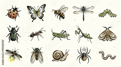 A collection of detailed illustrations of various insects and small creatures on a textured background.