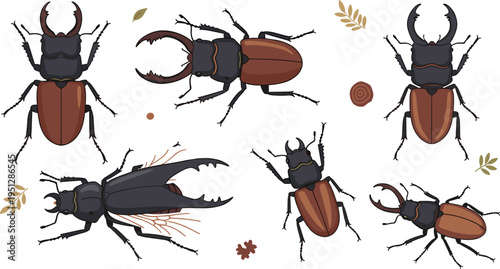 Stag Beetle Vector Set Featuring Large Mandibles, Detailed Anatomy, and Multiple Poses for Entomology Study, Wildlife Illustration, and Nature Inspired Design Projects.