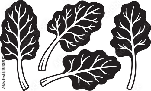 various Swiss chard leaves fresh green vegetable leaves Stylized black and white illustration