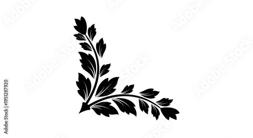 Black floral corner accent design - ornate foliage flourish, vintage style