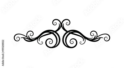 Elegant Black Swirls Flourish Ornament Border Design