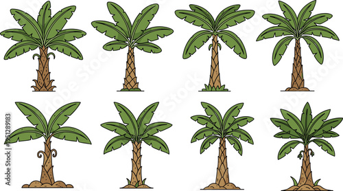 Collection of eight cartoon banana trees with varied leaf shapes, trunk textures, and fruit bunches, vector botanical illustration artwork