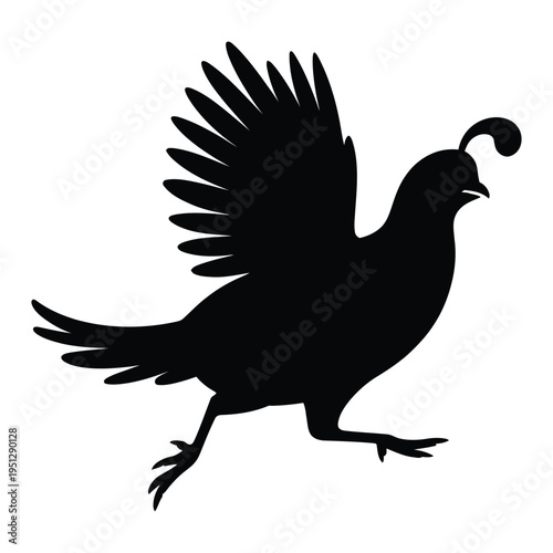 Quail in mid-run with wings slightly open Vector, Silhouette, Illustration