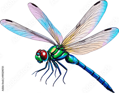 Create a realistic kinds of deferent chestnut horse with blaze and braided mane, portrait of beautiful equine animal vector art with white background..