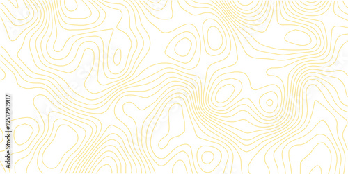 Topographic map background concept. Topo contour map. Rendering abstract illustration. White background topo