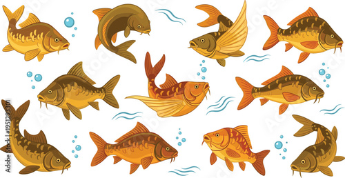 Freshwater Fish Illustration Set Featuring Swimming Carp, Goldfish, and River Fish Species in Different Aquatic Poses with Bubbles.