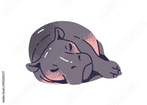 Cute asleep baby hippo is lying on its side and having a rest. Funny pygmy hippopotamus sleeps. Happy animal character has a nap, slumber. Flat isolated vector illustration on white background