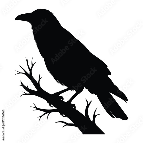 Raven perched on a branch Vector, Silhouette, Illustration
