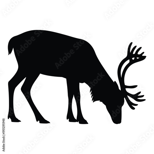Reindeer grazing Vector, Silhouette, Illustration
