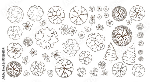 Tree and Flower Top View Outline Vector Collection – Brown Foliage Patterns for Architectural Landscape Plans