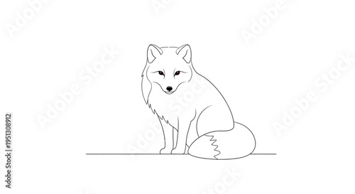 Outlined sitting fox illustration against white background for design