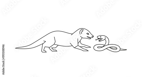 Mongoose confronts snake monochrome illustration depicting animal interaction
