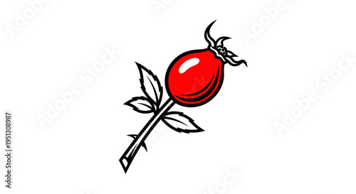 Vibrant red rose hip illustration on white background isolated vector art
