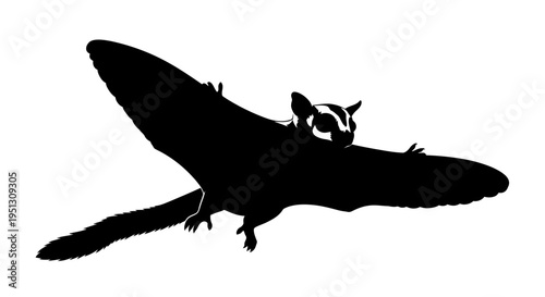 Black silhouette of a flying sugar glider on a white background