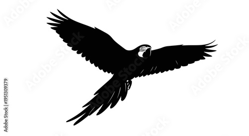 Black parrot silhouette in flight against a white background