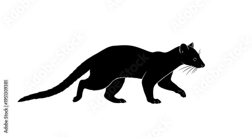 Black silhouette of a mammal against a white background for various applications
